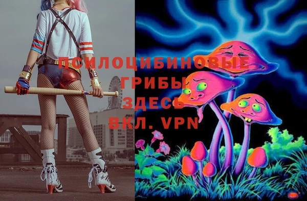 бошки Алзамай
