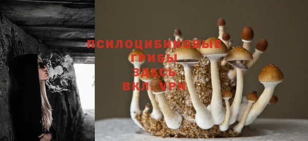 дмт Новодвинск